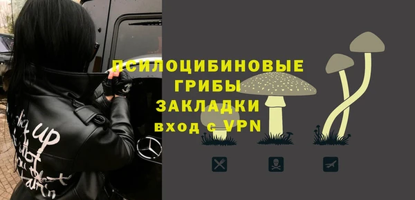 соль ск Алексин